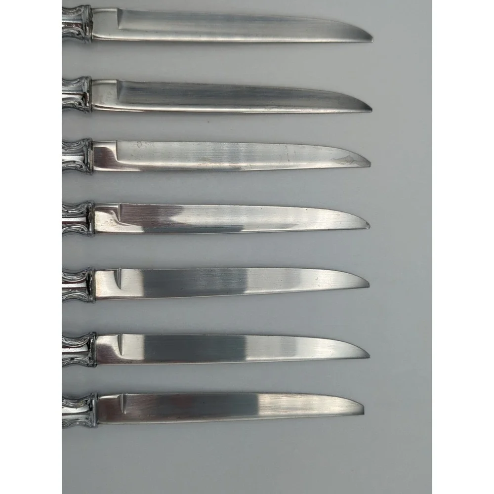 Carvel Hall Stainless Steel Steak‎ Knives 6 Beautiful Ones & 1 Ugly One Set Of 7